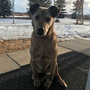 Meet your Posher, Trevor